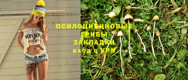 соль ск Алексеевка