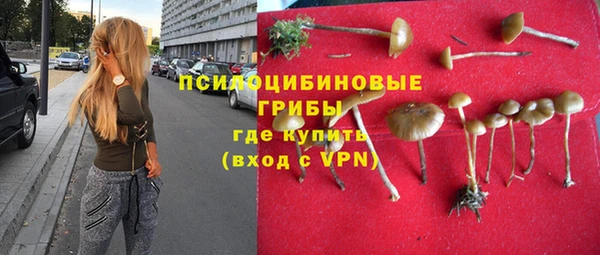 соль ск Алексеевка