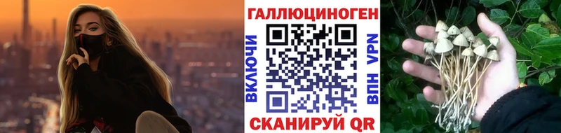 продажа наркотиков Алексин дарк нет официальный сайт Псилоцибиновые грибы прущие грибы