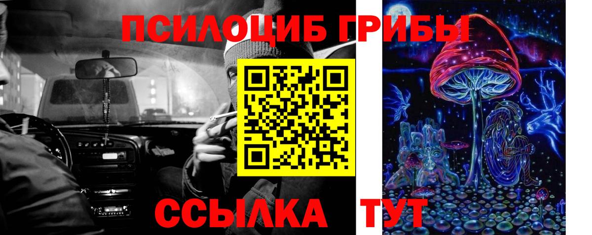 Алексин  Галлюциногенные грибы мицелий  где найти   Вход с VPN 